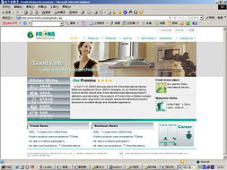 深圳網(wǎng)站設計公司 打造卓越企業(yè)形象的數(shù)字化門戶