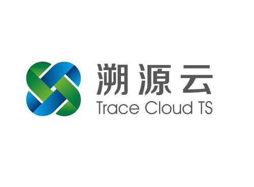 深度解析 北京溯源云為信息咨詢(xún)服務(wù)注入新動(dòng)能
